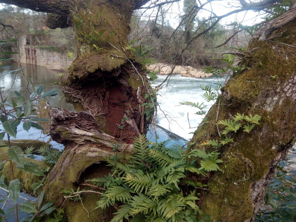 Posada La Cotia Helguera  Luaran gambar