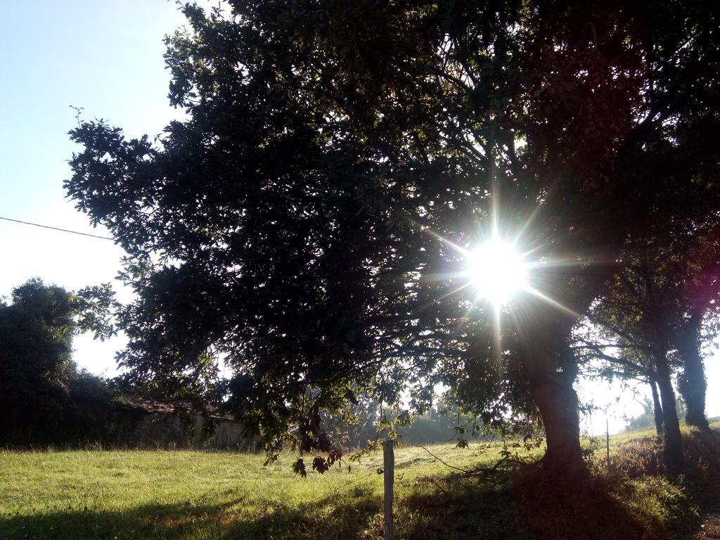 Posada La Cotia Helguera  Luaran gambar