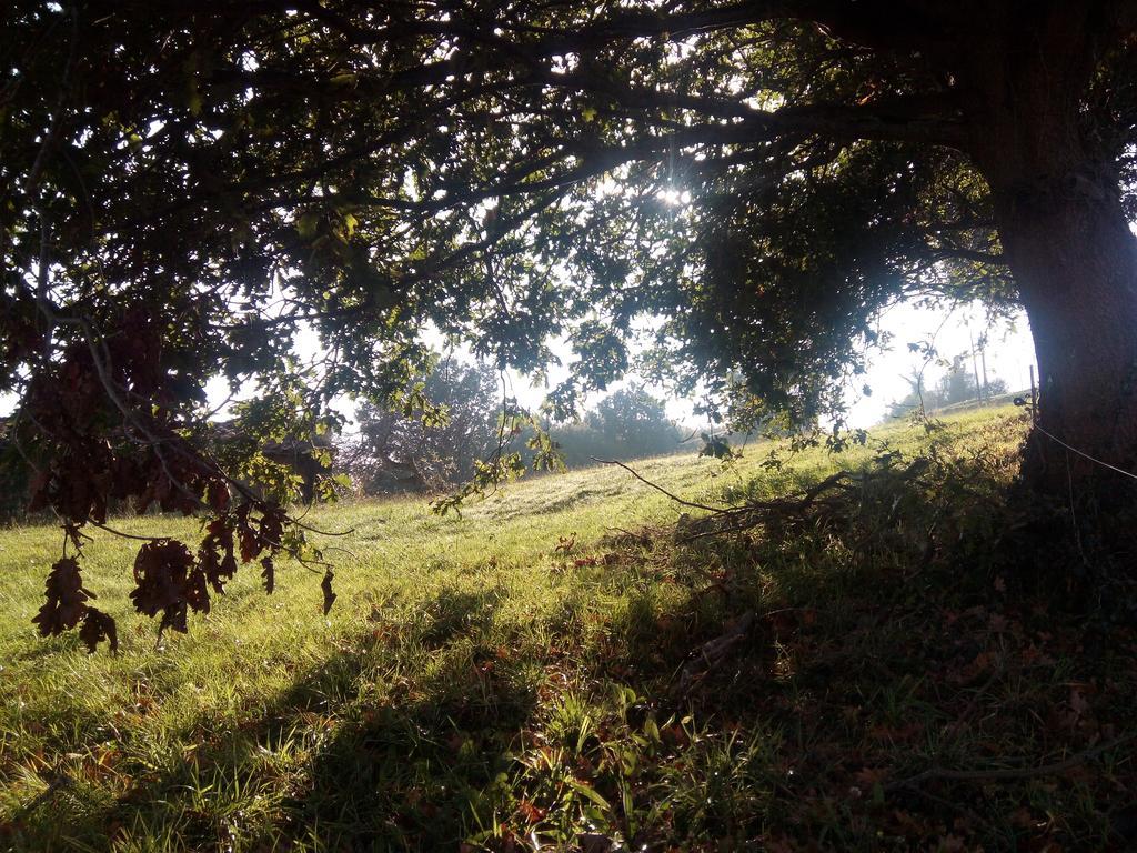Posada La Cotia Helguera  Luaran gambar